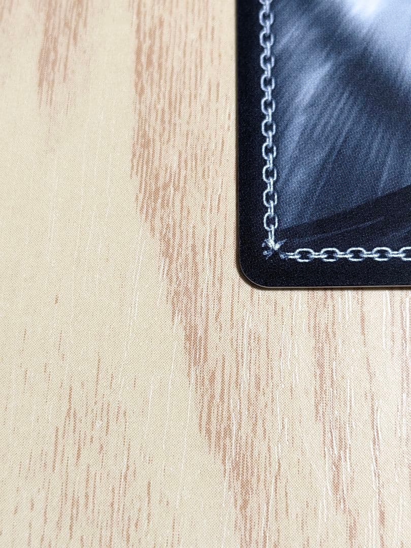 【BGS10】ヴァイス　ブルーアーカイブ　小鳥遊ホシノ　サインsp