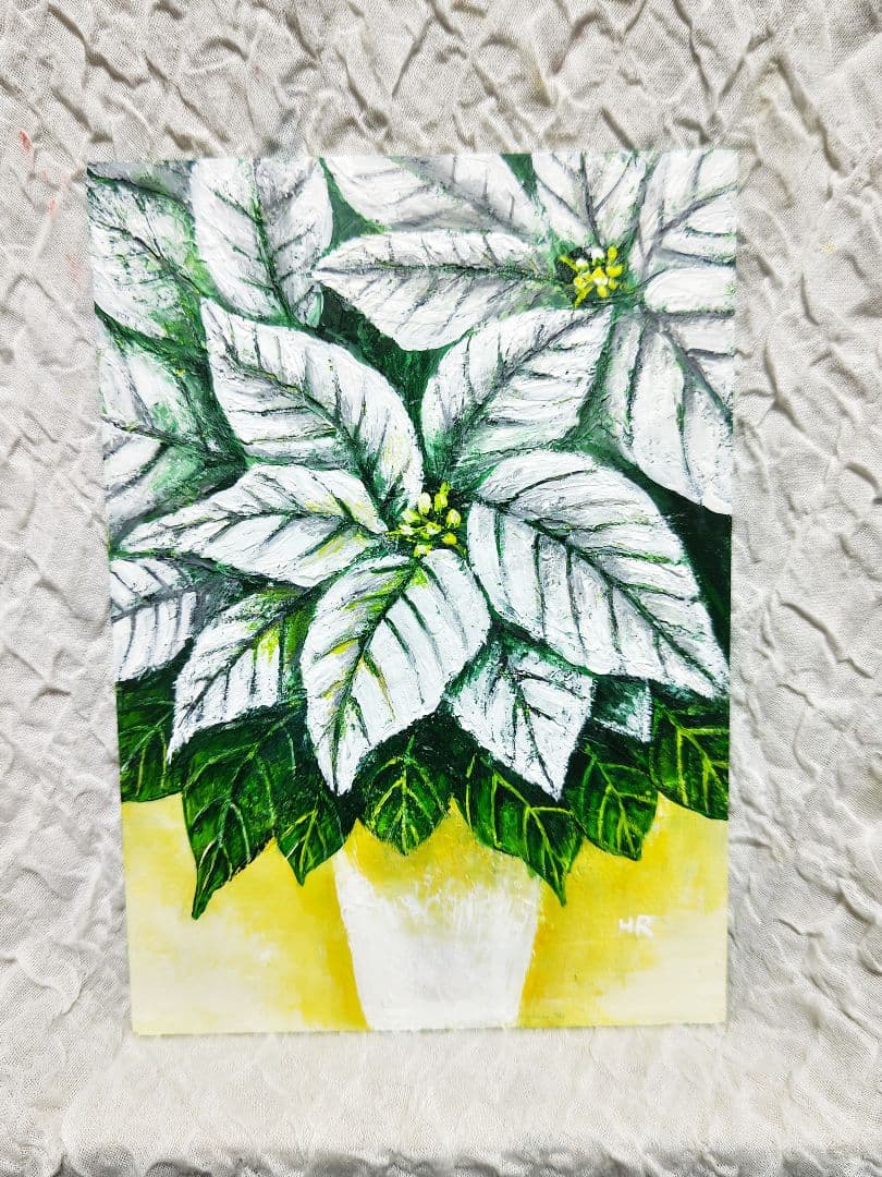 油絵 絵画 【白いポインセチア】