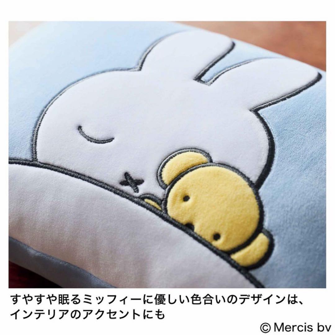 ちゅん太 管理 29 リンネル 2月号 付録