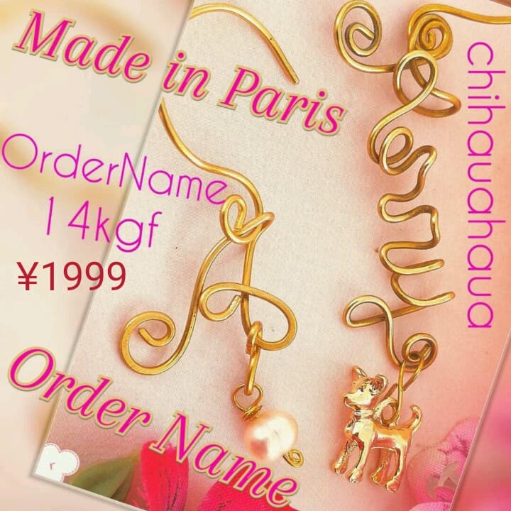 シルバー925 パリ製❤新品 ヨークシャーテリア ピアス 珊瑚 アメジスト