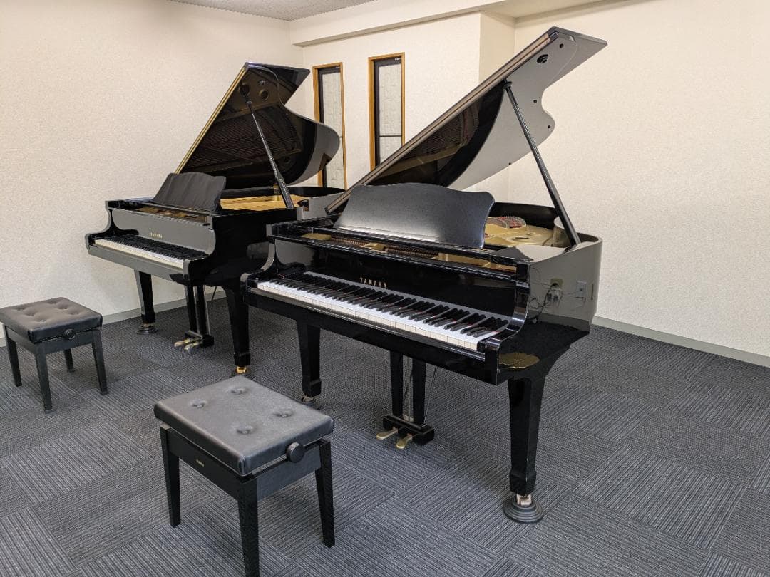 Niendorf 182グランドピアノ 88鍵 黒