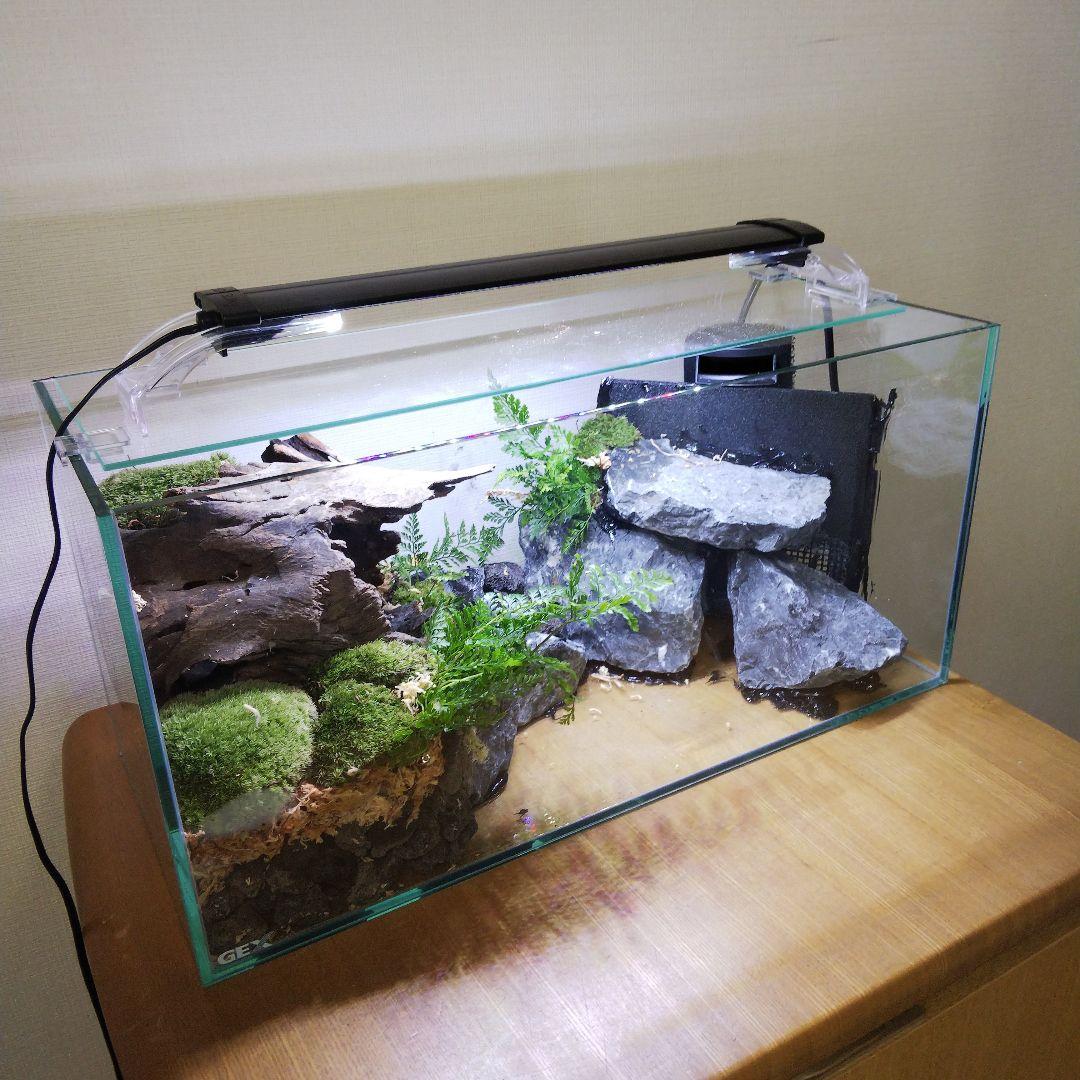 オーダーメイド】滝のあるアクアテラリウム 苔テラリウム アクアリウム