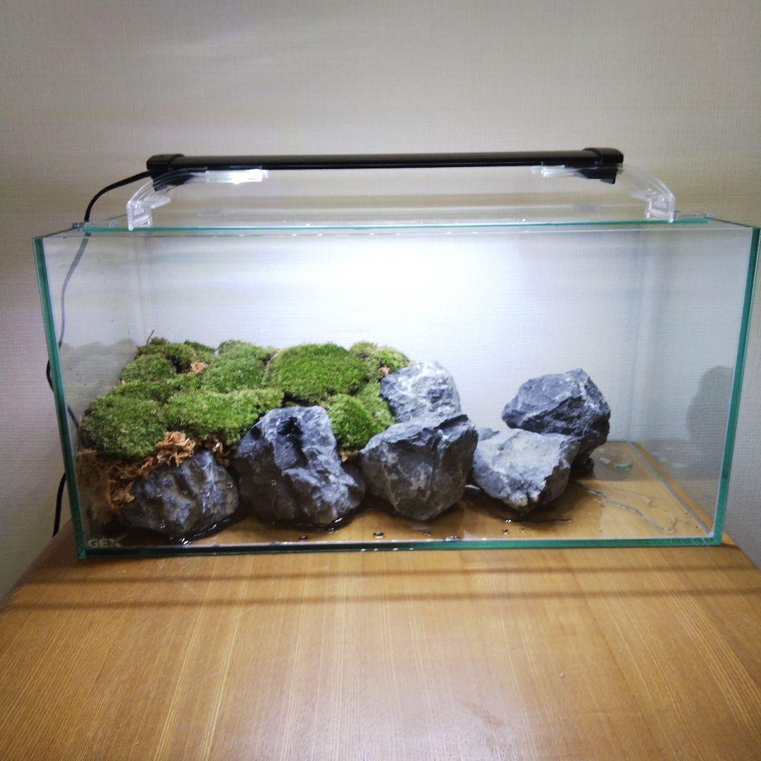 オーダーメイド】滝のあるアクアテラリウム 苔テラリウム アクアリウム