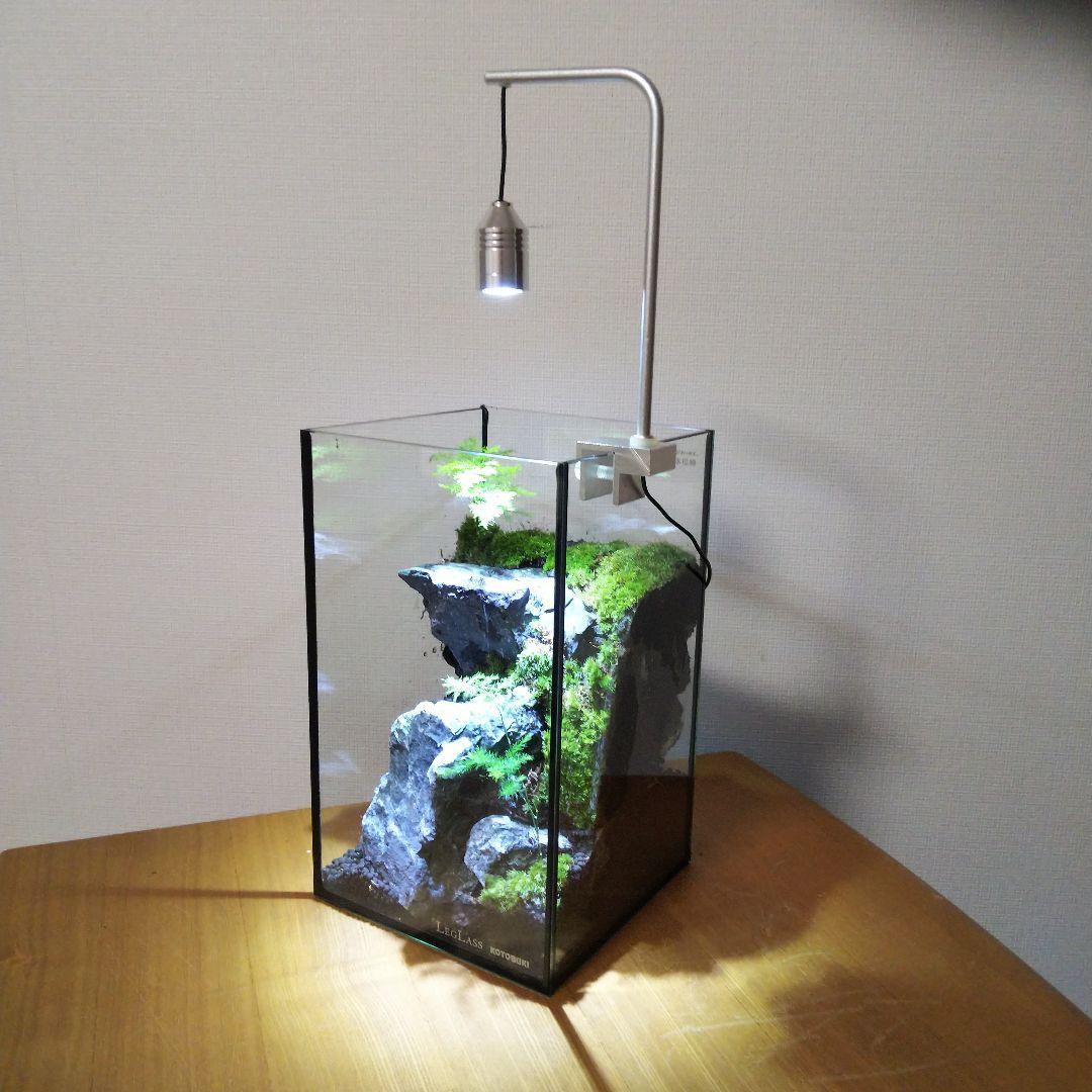 オーダーメイド】滝のあるアクアテラリウム 苔テラリウム アクアリウム