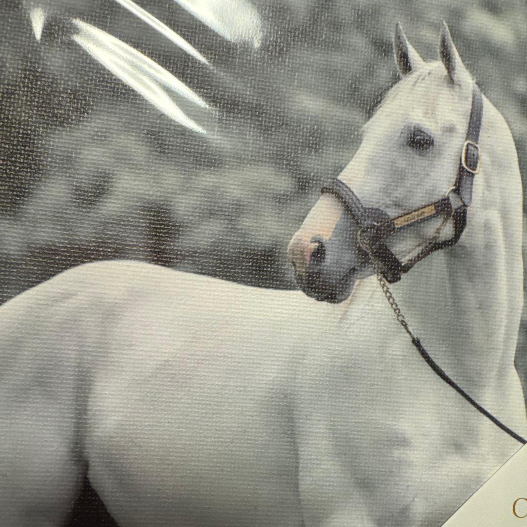 限定品♡ゴールドシップ インテリア キャンバスボード 競馬/午年