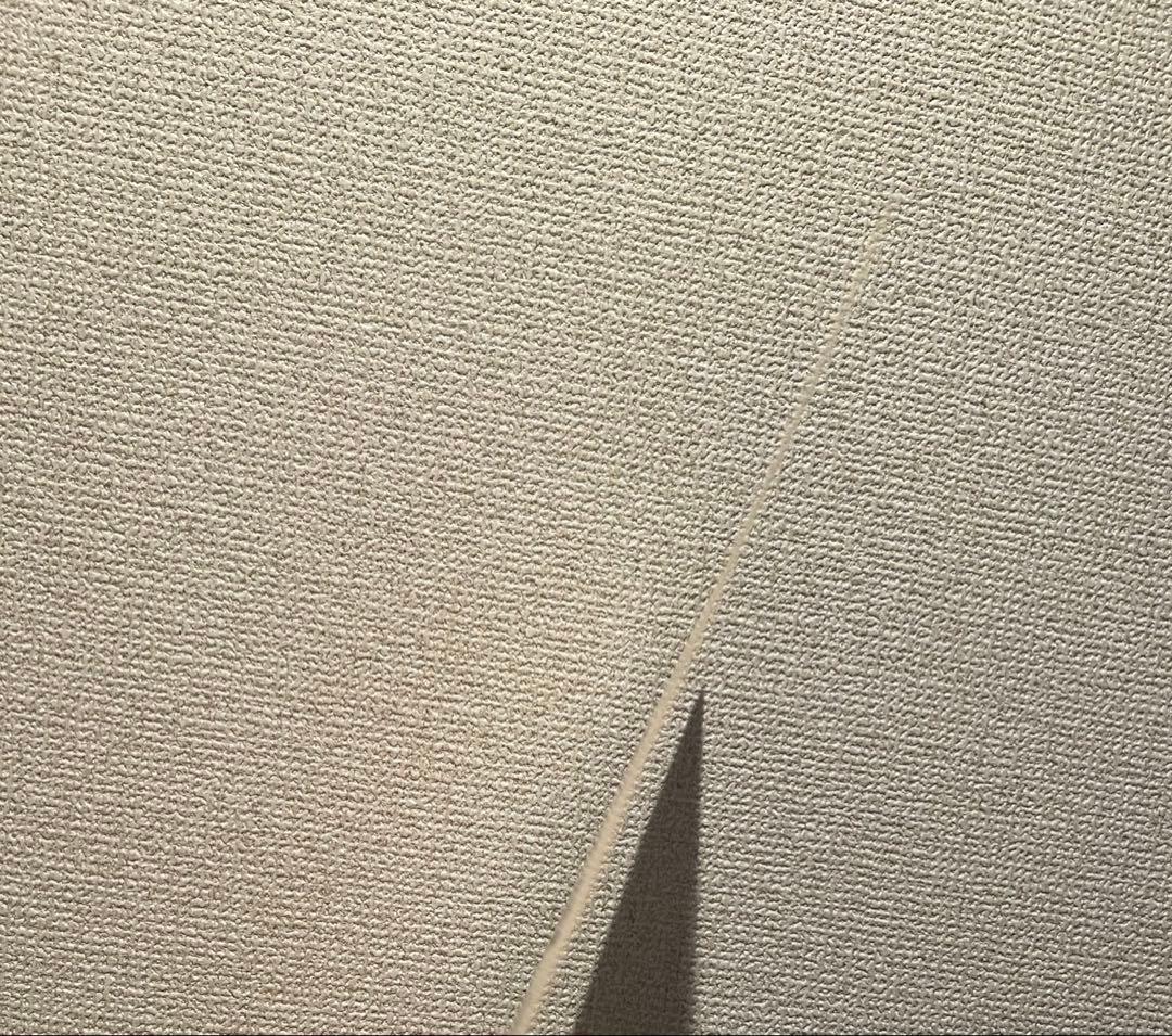 ヒトリエサイン入り色紙wowaka 2016年