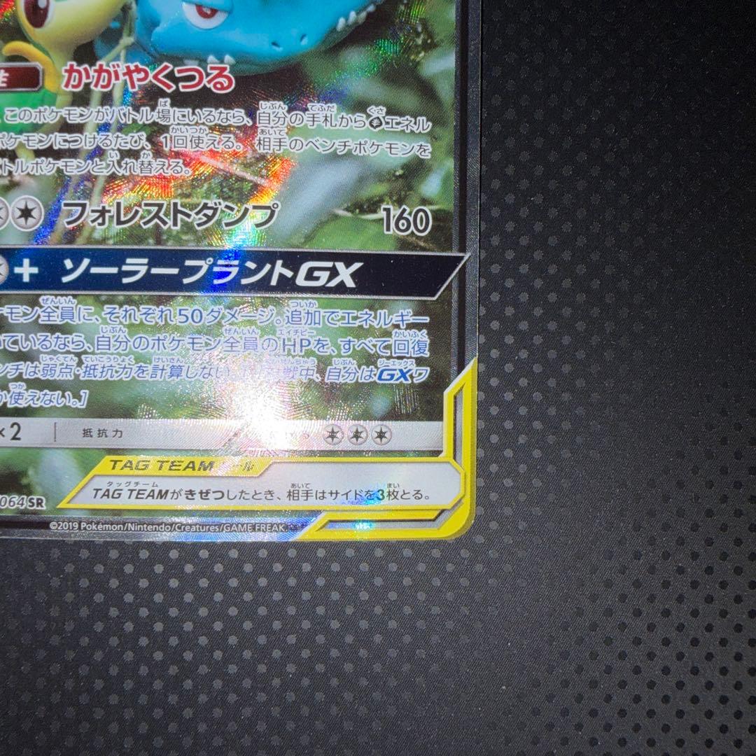 美品 フシギバナ＆ツタージャGX かがやくつる SR SA