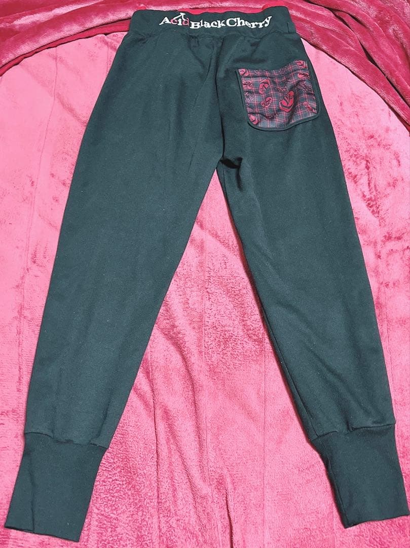 Acid Black Cherry パーカー セットアップ レディース