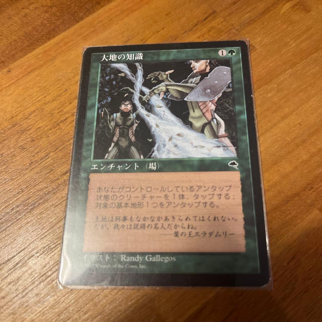 MTG 《大地の知識/Earthcraft》[TMP] 日本語