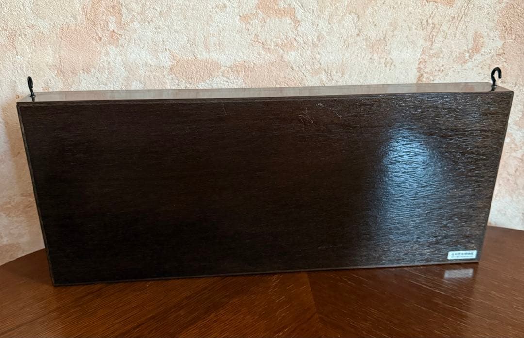 名和昆虫博物館　蝶の標本　5種類