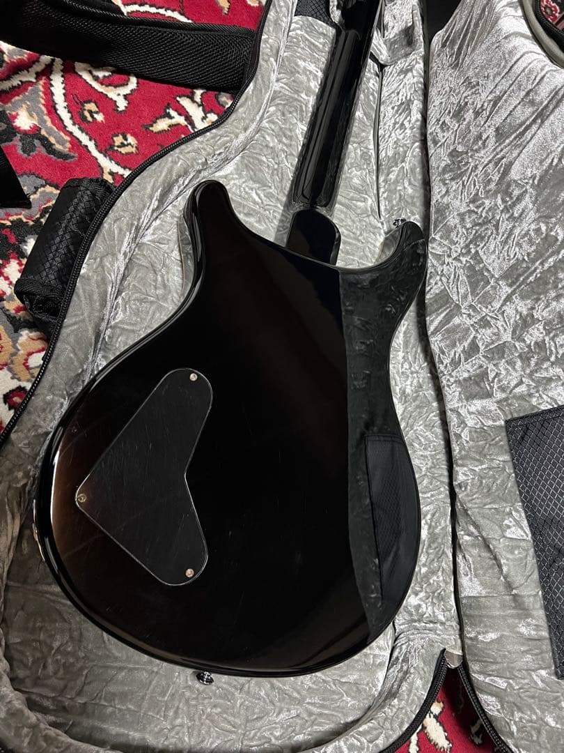 【希少】PRS SE Cnstom 22 セミホロウ　P-90タイプ