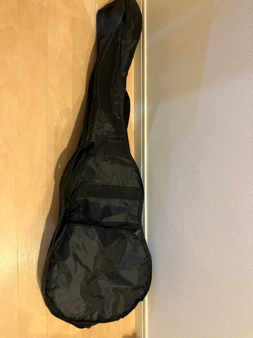 Aria ASA-18 ミニアコースティックギター