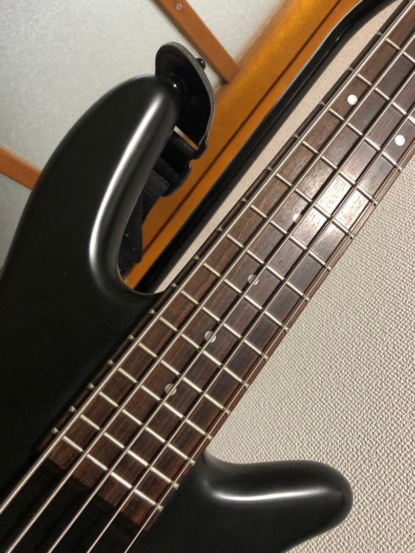SPECTOR 5弦ベース マットブラック 韓国製(推定)