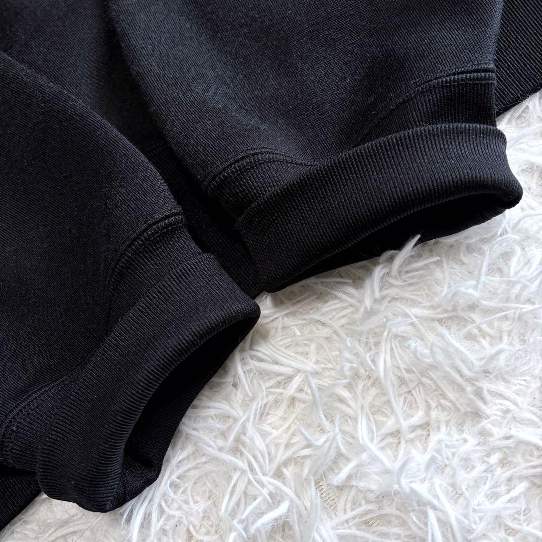 AURALEE バギーポリエステルスウェットパーカー ブラック サイズ4