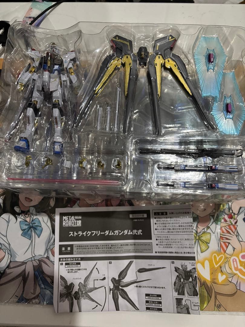 メタルロボット魂 ストライクフリーダムガンダム弐式とプラウドディフェンダー