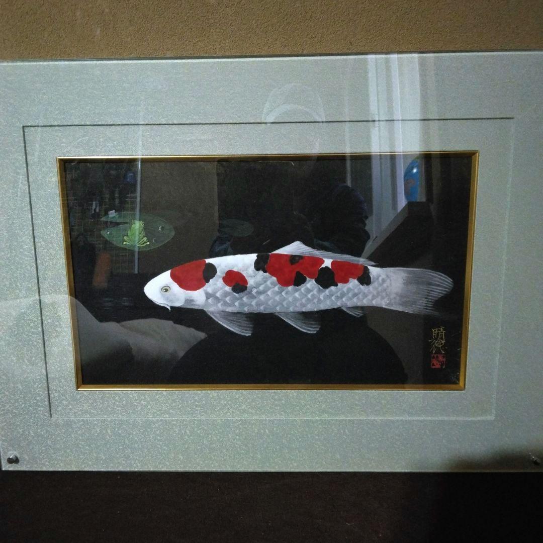 五十嵐 晴徳 日本画 鯉の絵 額・箱付き
