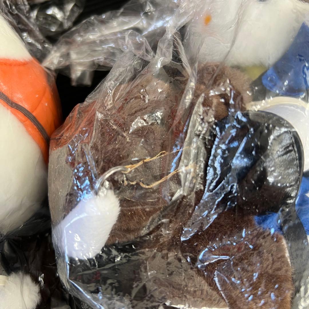 お馬deキティちゃん ハローキティ ぬいぐるみ 5体セット