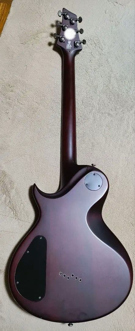 送料込最終値下げWashburn PXL10 WA
