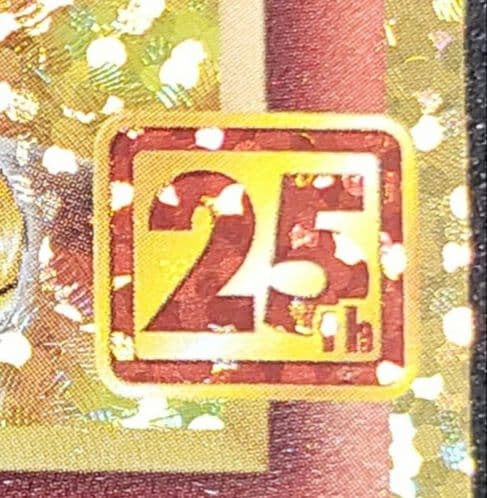 リザードンS8a-P 001/025　25th ANNIVERSARY edi…