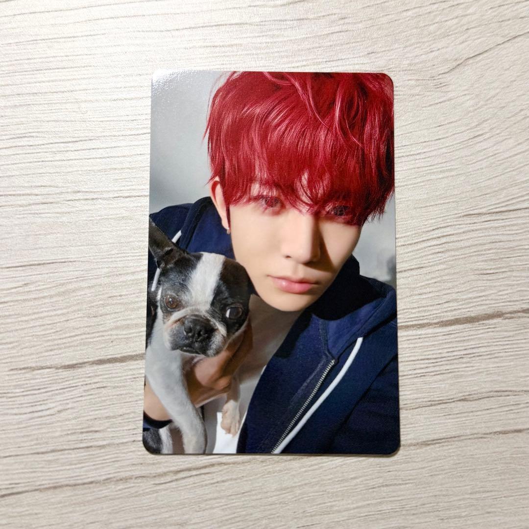 enhypen ヒスン アンケートトレカ 2025