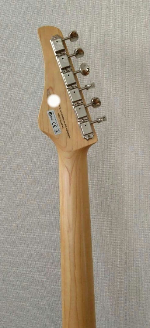 ギター FUJIGEN Boundary Iliad BIL2-G-HH BLACK