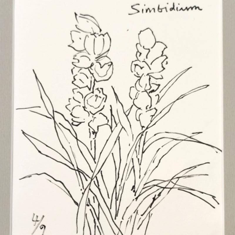 ☆坂本直行☆「 Sinbidium(シンビジウム） 」ペン画　大衣　未使用!