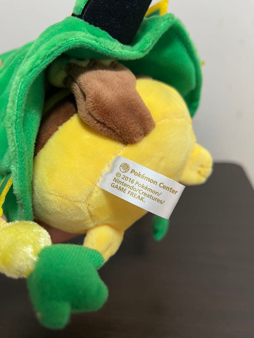 メガレックウザのポンチョを着たピカチュウ　黒いレックウザポンチョを着たピカチュウ