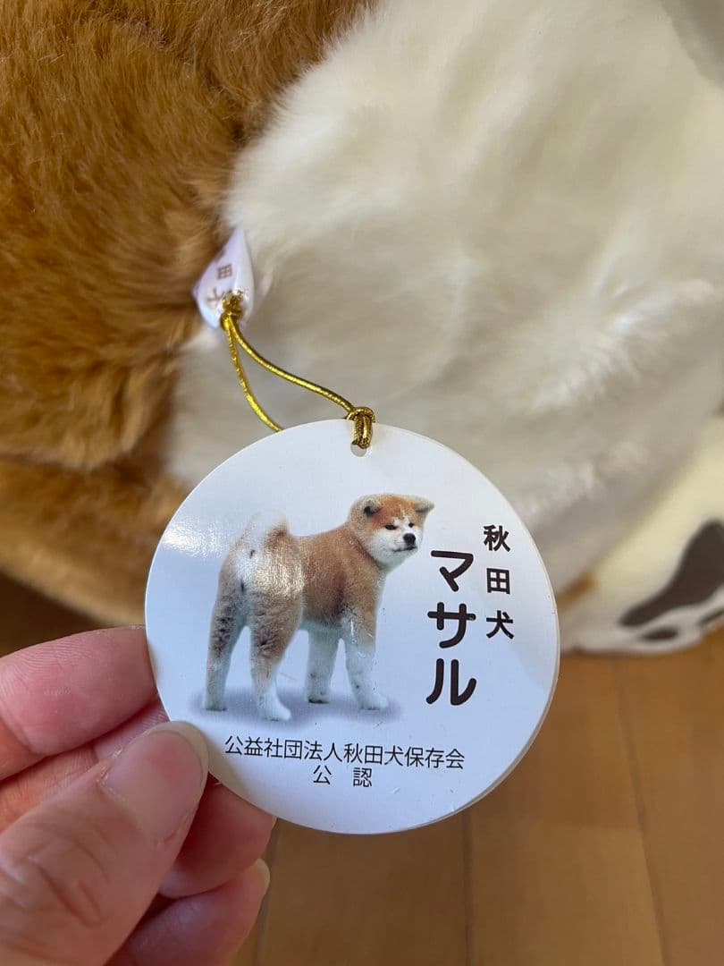 【3日間限定値下げ♫】秋田犬マサル　ぬいぐるみ　特大