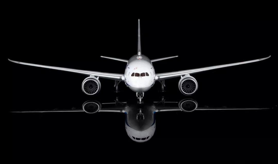 ミ*☆様 【新品・即納】ANA Boeing 787-8 1/200 JA801