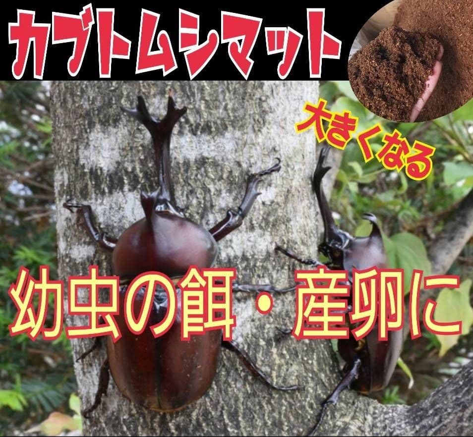 雑虫がわきません！カブトムシ幼虫の餌 産卵に！ 発酵マット【60リットル】