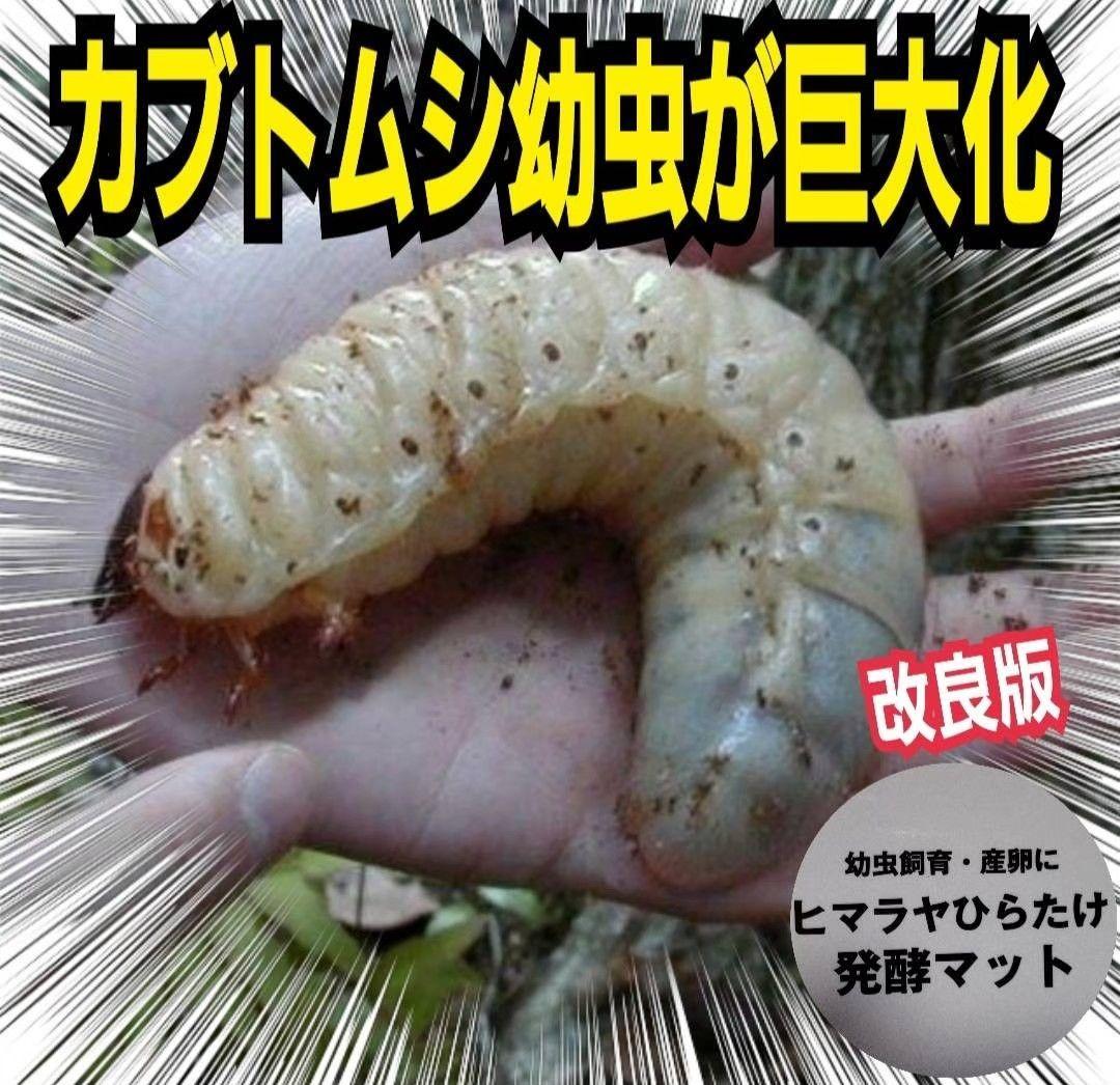 雑虫がわきません！カブトムシ幼虫の餌 産卵に！ 発酵マット【60リットル】