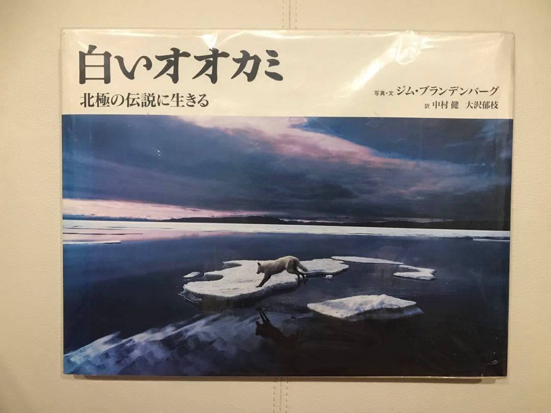 白いオオカミ ジム・ブランデンバーグ 白いオオカミ: 北極の伝説に生きる