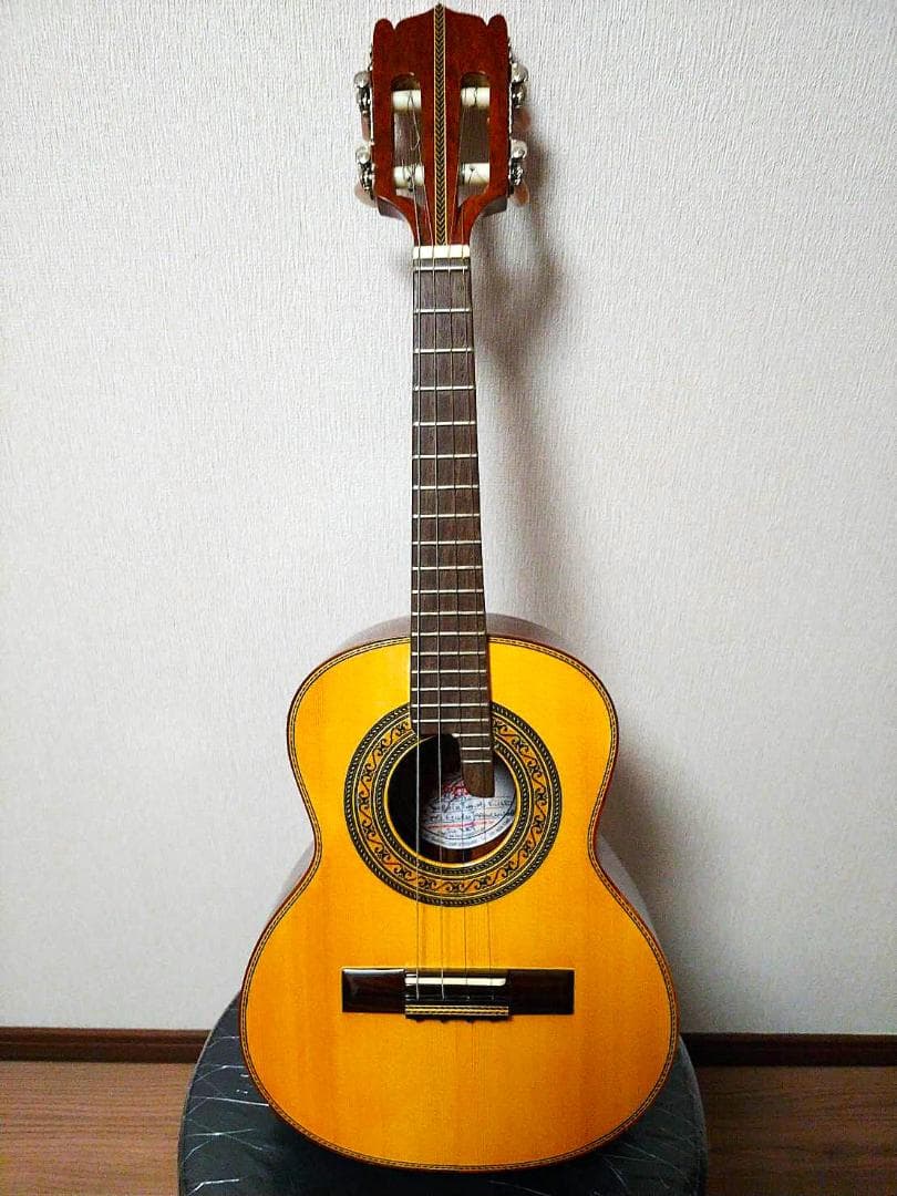 カヴァキーニョ&ハードケース　B