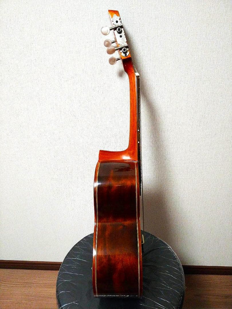 カヴァキーニョ&ハードケース　B