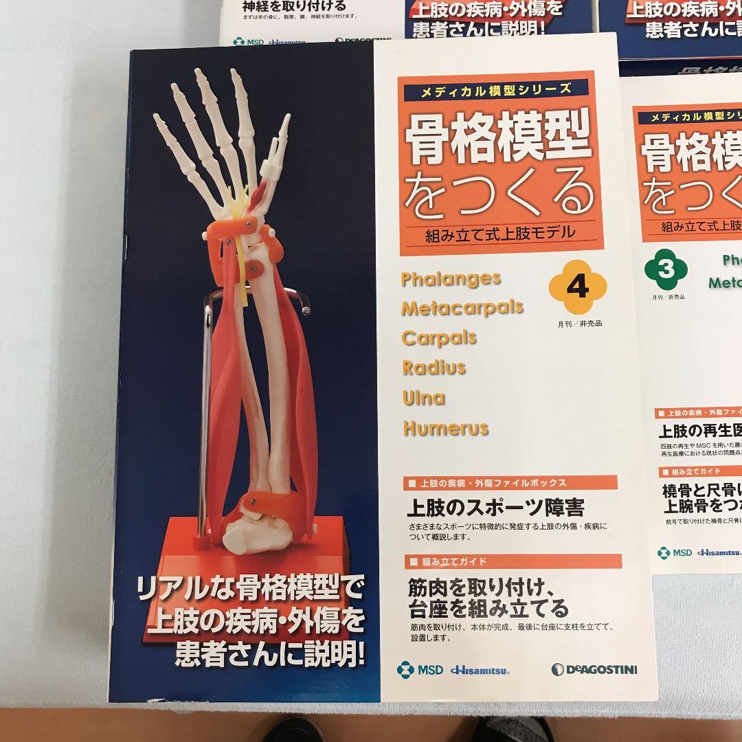 骨格模型をつくる　上肢モデル　1-4 デアゴスティーニ　非売品