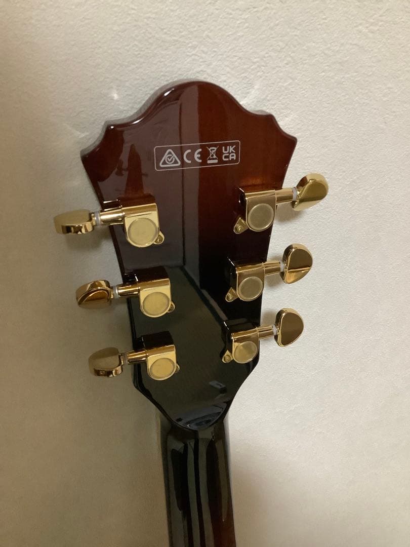 Ibanez アイバニーズフルアコAG95QA-DBS