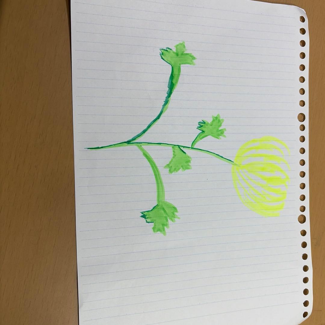 菊の花の絵　自分で描きました　イラスト　即購入可 手描きの菊の花のイラストのイラスト素材 [96419290] - PIXTA