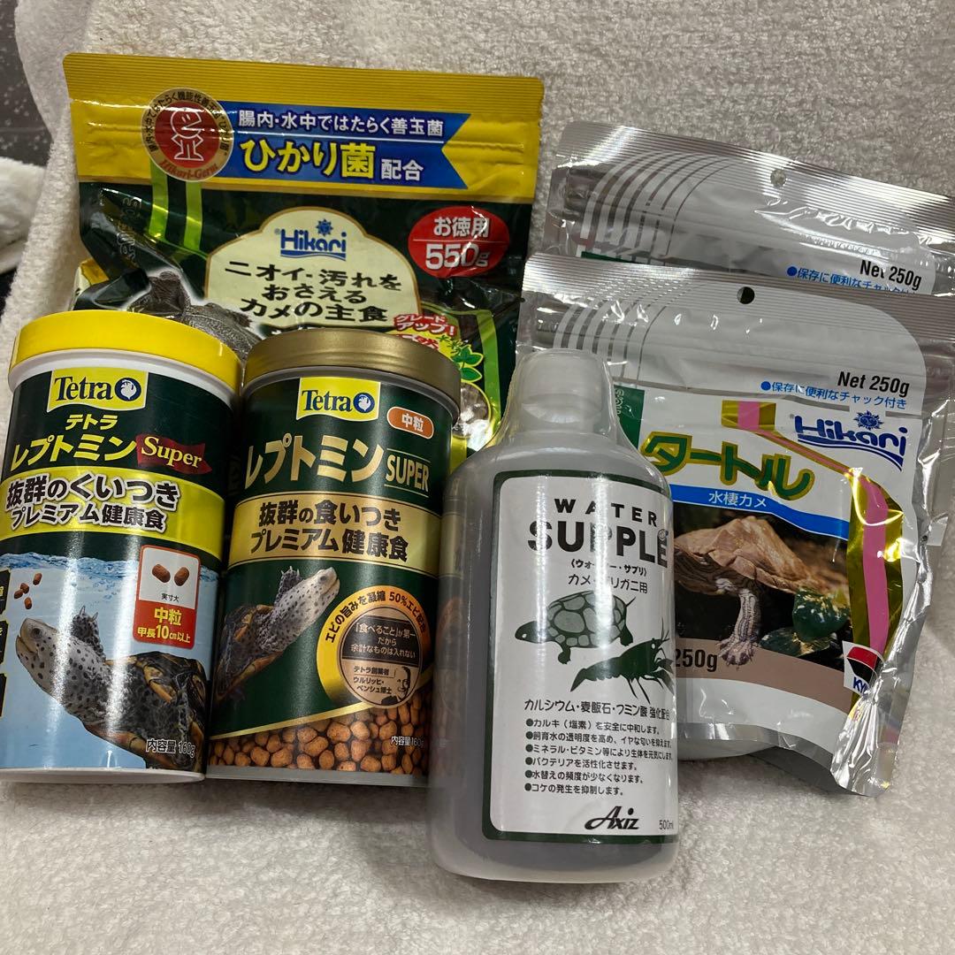 金魚 アート 煌 ウミガメ 海亀 ニモ ドリー フィギュア ミニチュア 恐竜