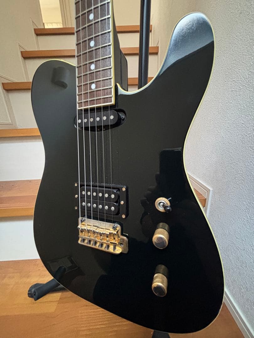 Fernandes フェルナンデス　TEJ 55g 中古