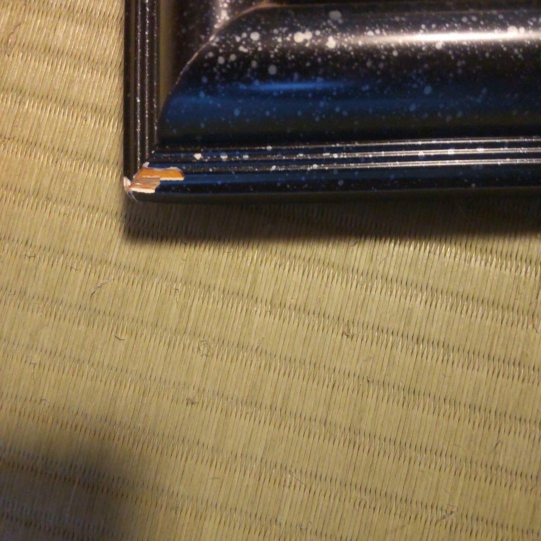 チャールズ・リン・ブラッグ　イルカ　油彩　8号