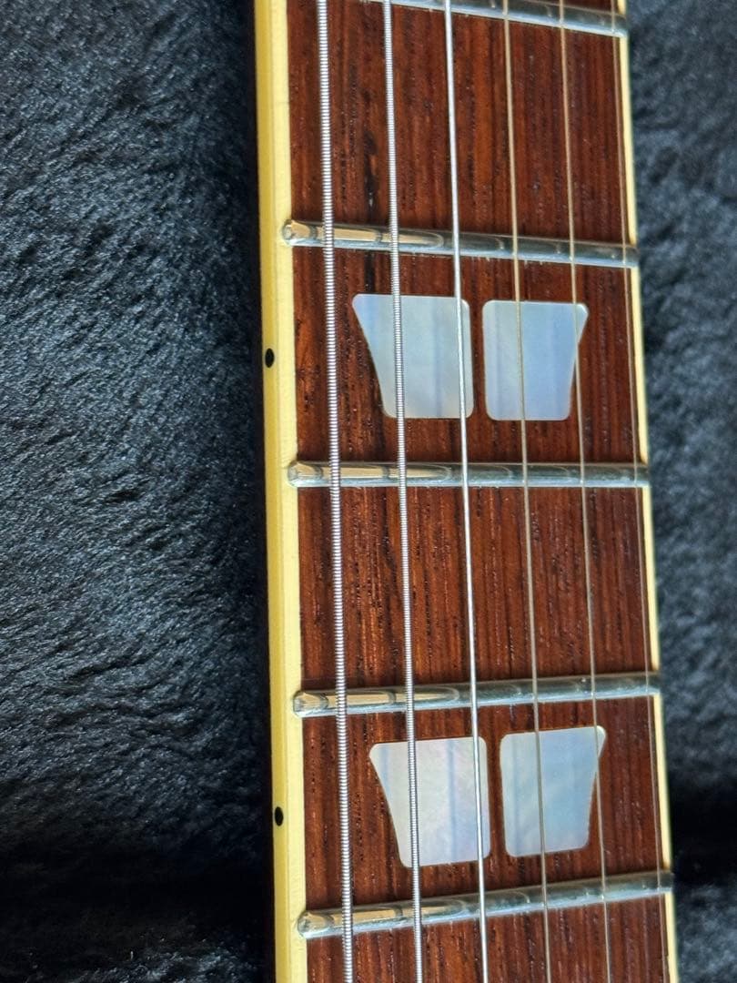 FUJIGEN フジゲン タイムレスティンバー BAT 型番不明　レスポール