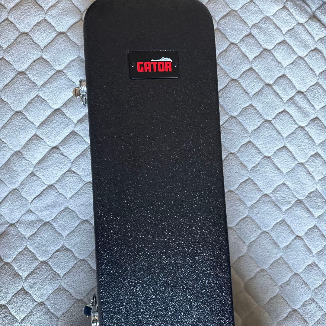 FUJIGEN フジゲン タイムレスティンバー BAT 型番不明　レスポール