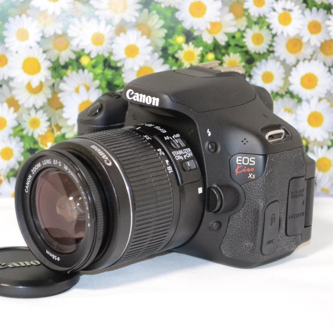 Sony Handycam MEGA PIXEL ビデオカメラ本体