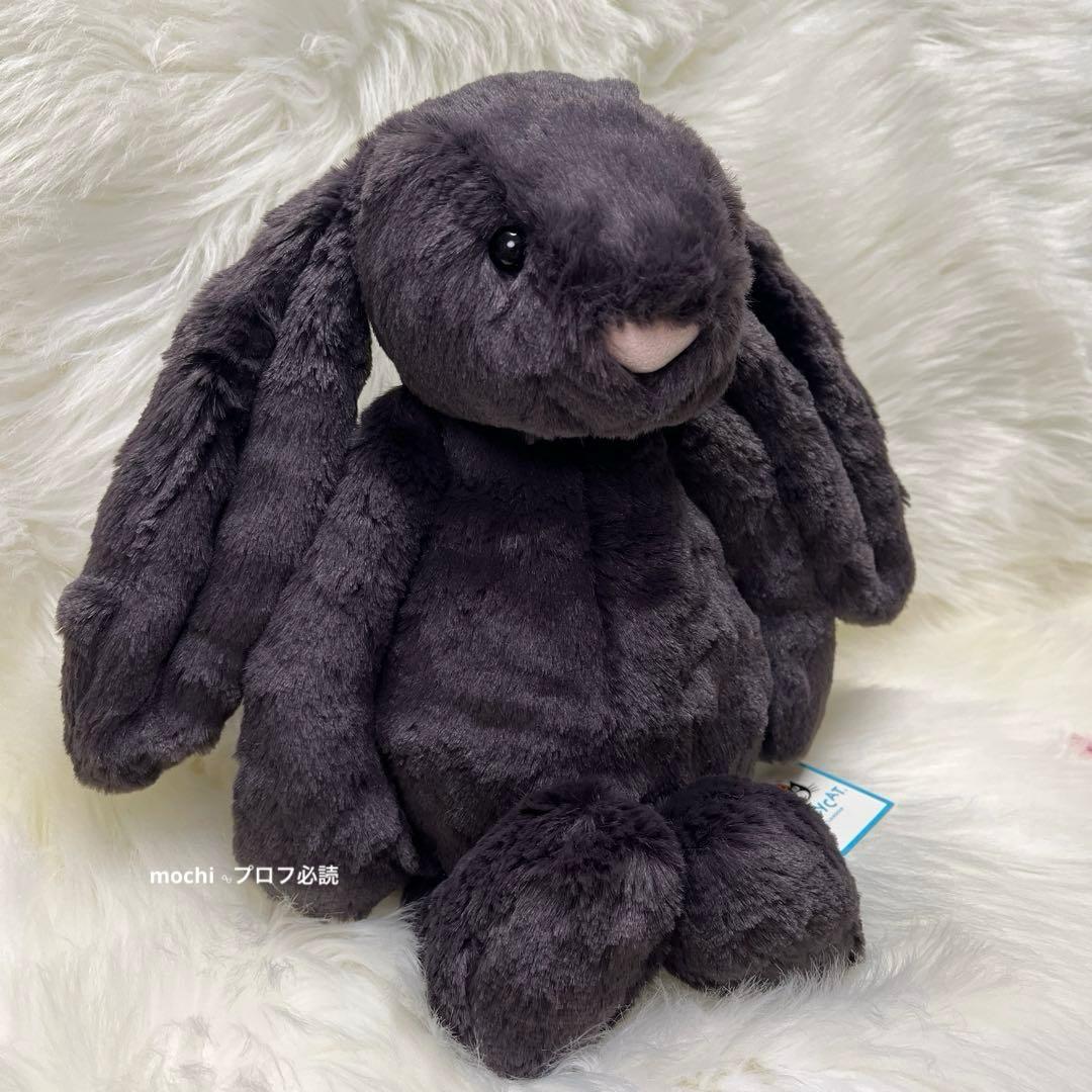  Medium Bashful Inky Bunny 黒 うさぎ