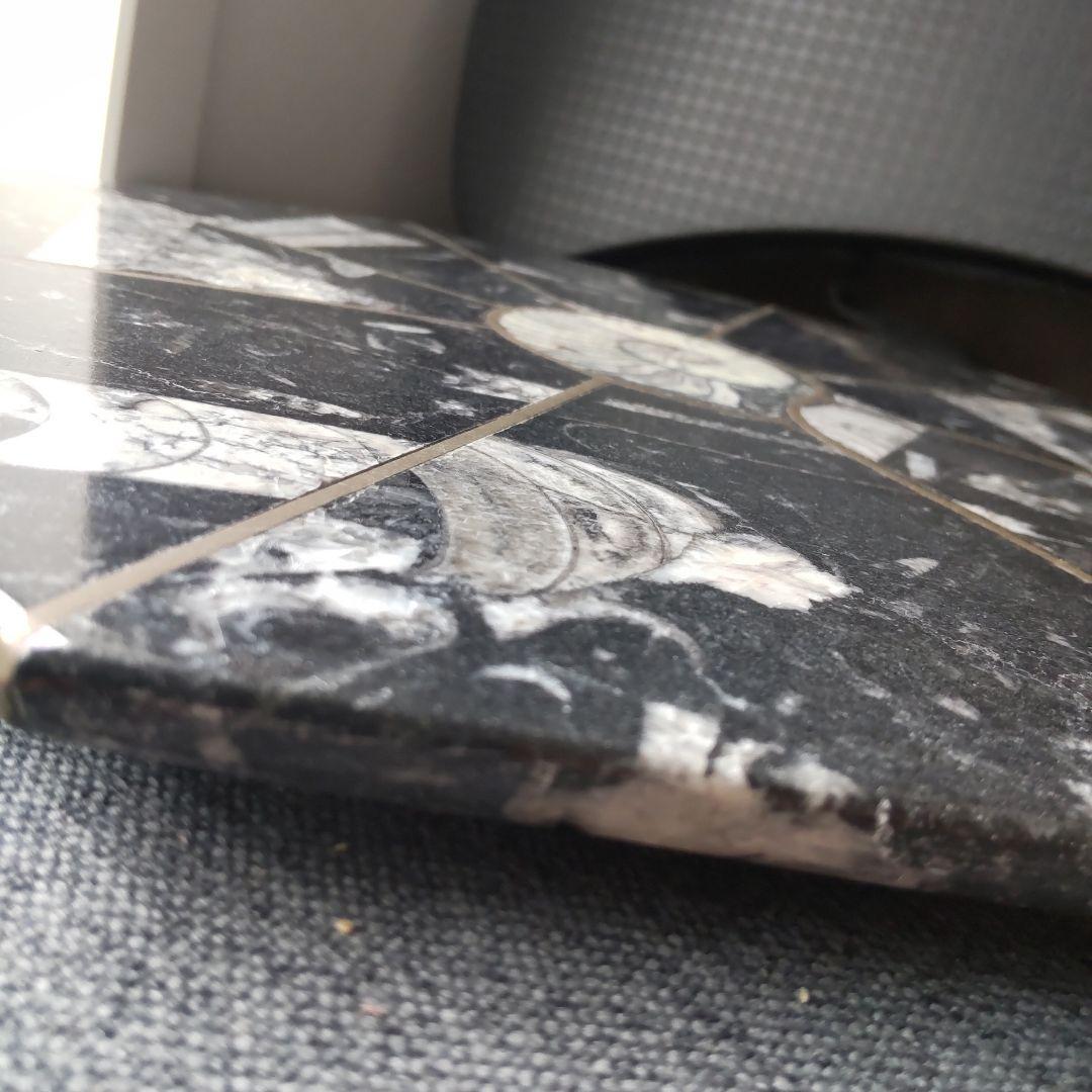 レア！アンモナイト化石 他生物の大理石八角形オブジェプレート