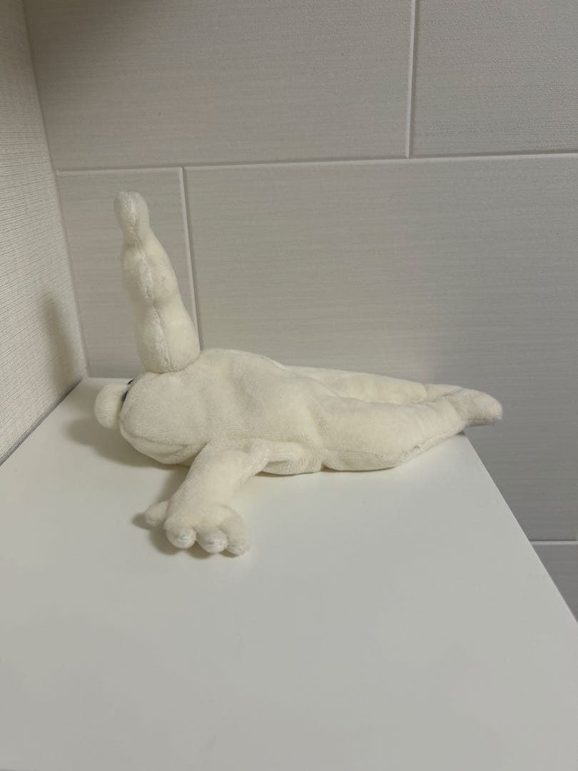 doma48 ホイップちゃん　白