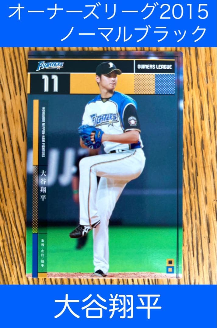 希少】大谷翔平カード2015 オーナーズリーグドジャース