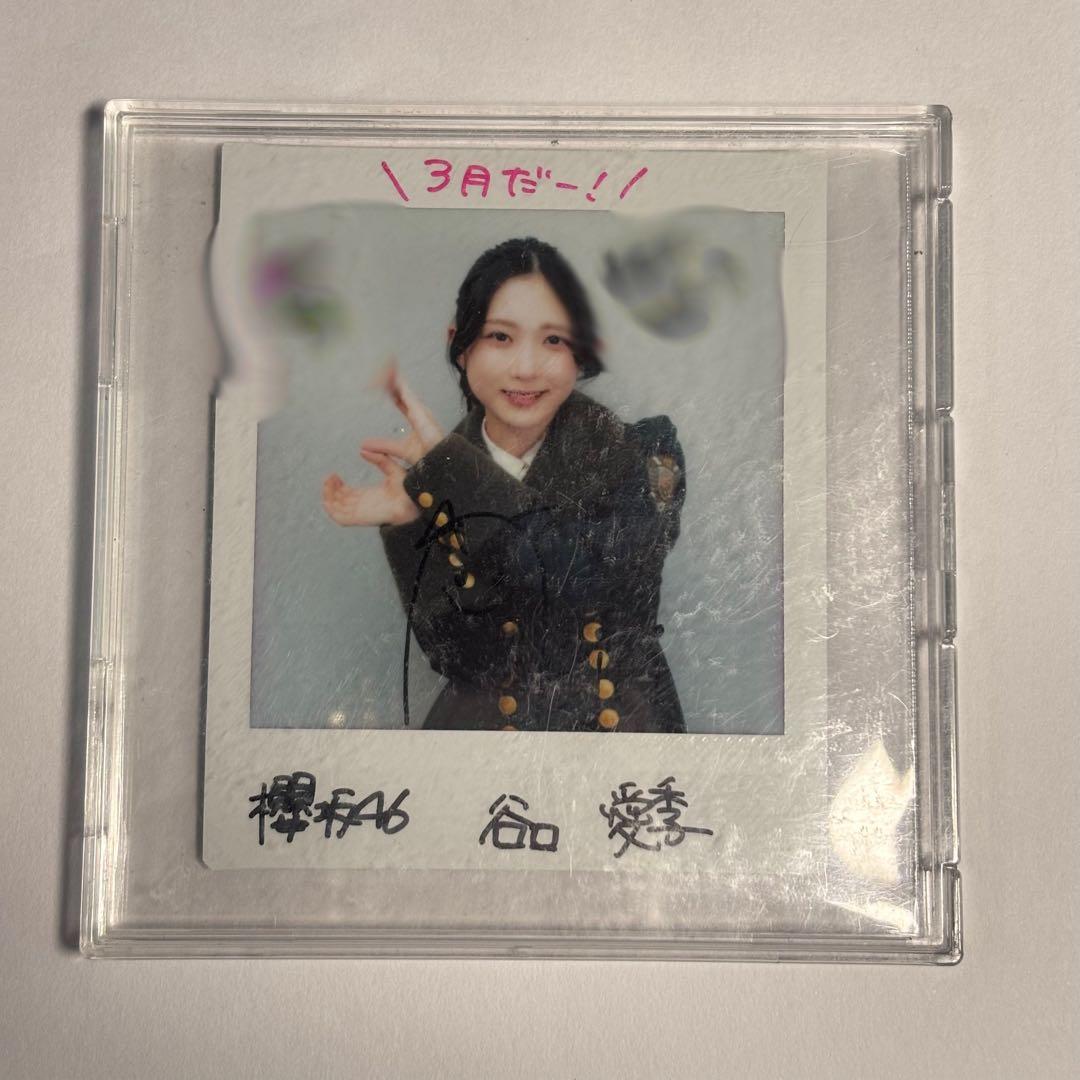 櫻坂46 谷口愛季 サイン入りチェキ 色紙 な*様 櫻坂46