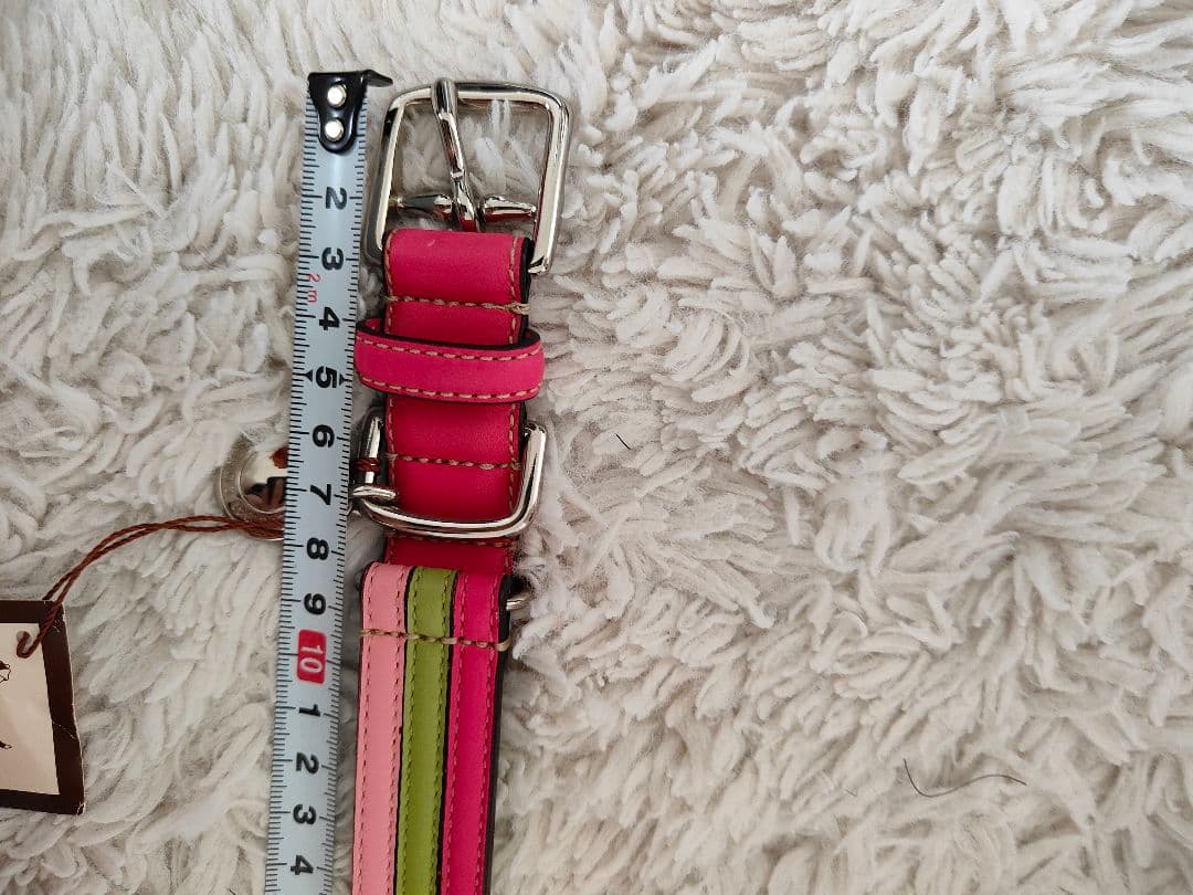 新品 COACH コーチ カラフル レザー犬用首輪 L 大型犬 中型犬