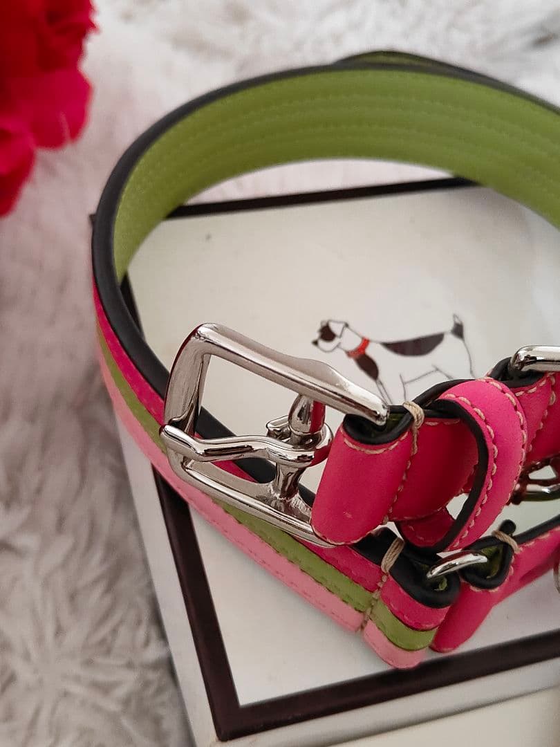 新品 COACH コーチ カラフル レザー犬用首輪 L 大型犬 中型犬